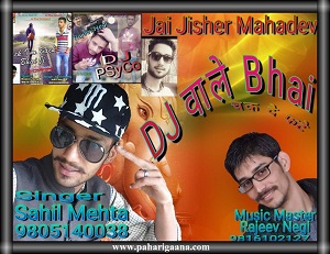DJ  Wale Bhai